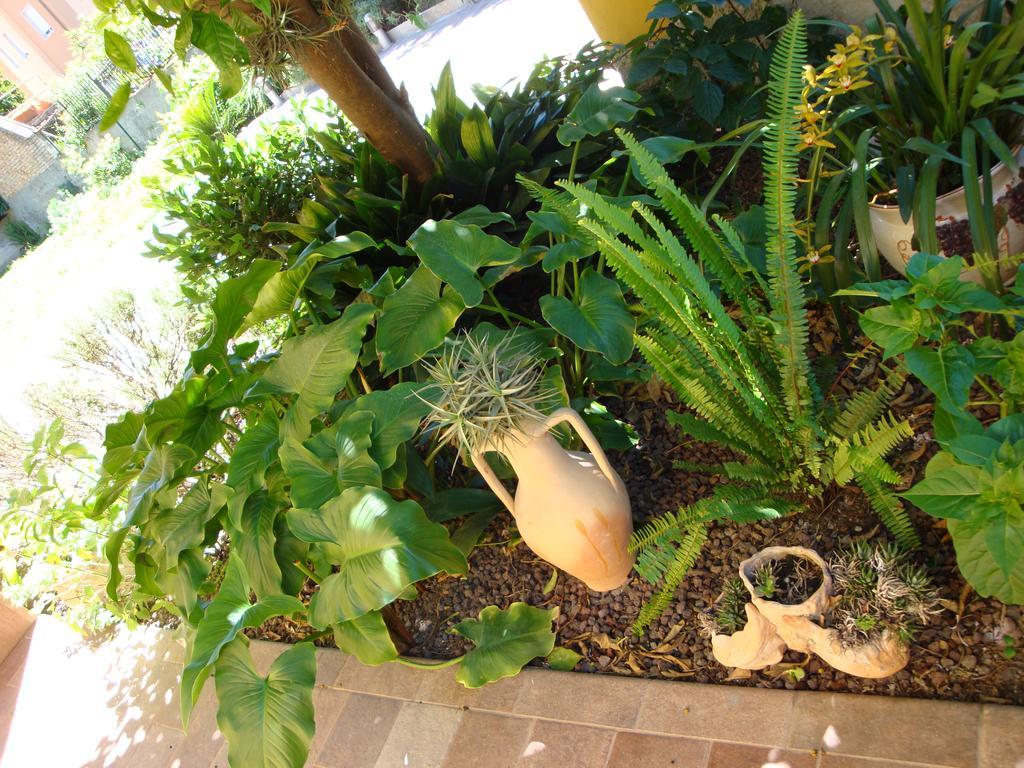 Andoramare B&B ภายนอก รูปภาพ